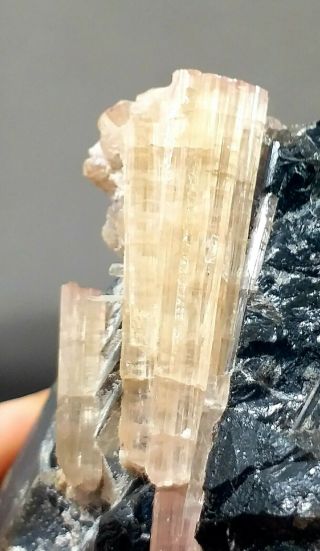 254 Grams Huge Size Hiddenite Tourmaline Crystal Bunch With Quartz @pak
