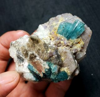 Top 183.  6 G Natural Bunch Of Blue Cap Tourmaline With Quartz And Mica A9