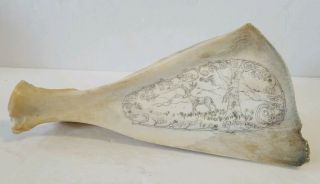Antique Scrimshaw Etching On Deer Bone