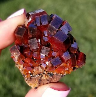 Lustrous Large Dark Fire Red Vanadinite Crystals On Matrix From Morocco Wow (: