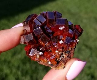 Lustrous Large Dark Fire Red Vanadinite Crystals On Matrix From Morocco WOW (: 2