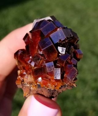 Lustrous Large Dark Fire Red Vanadinite Crystals On Matrix From Morocco WOW (: 3