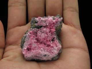 Rhodonite Crystal Cluster,  San Martin Mine Peru