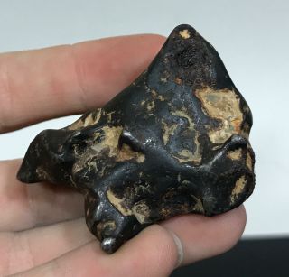 Ancient Iron Meteorite Archaeologist Specimen Dig Salvage Artifact Fragment 105g
