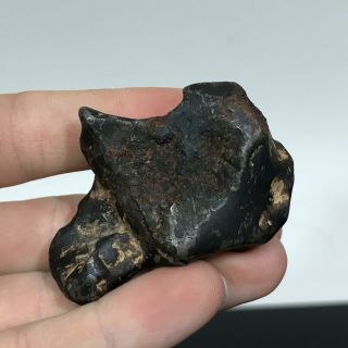 Ancient Iron Meteorite Archaeologist Specimen Dig Salvage Artifact Fragment 105g 2