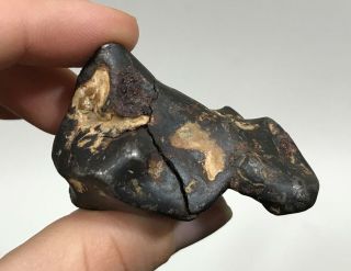 Ancient Iron Meteorite Archaeologist Specimen Dig Salvage Artifact Fragment 105g 3