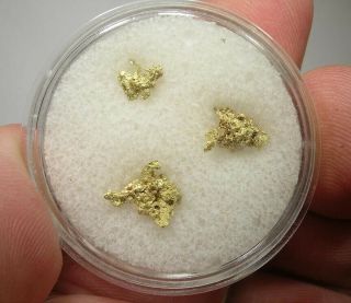 1.  14 Grams Crystal Gold & Quartz: Belshazzar Mine,  Boise County,  Idaho - Nr