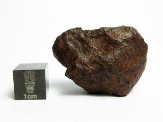 Mundrabilla Iron Meteorite 43.  86g Stunning Siderite Showpiece