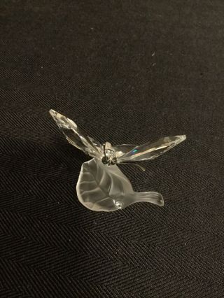 Swarovski 182920 Crystal Butterfly On Frosted Leaf 2