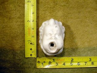 Excavated Vintage Victorian Bisque Doll Head As Fountain Hertwig Age 1890 11706