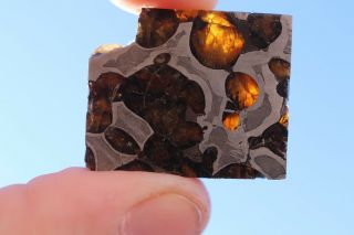 Brenham Meteorite Pallasite Part Slice 8.  4 Grams