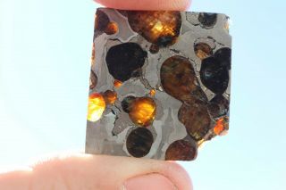 Brenham Meteorite Pallasite Part Slice 8.  5 Grams