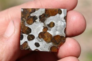 Brenham meteorite pallasite Part slice 8.  5 grams 2