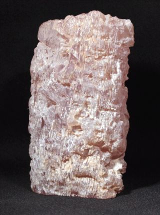 Pink Agate (Chalcedony) Wood from Texas Springs,  Nevada 171 grams Miocene 2