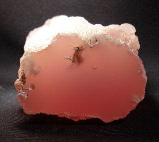 Pink Agate (Chalcedony) Wood from Texas Springs,  Nevada 171 grams Miocene 3