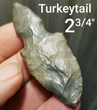 2.  75 " Harrison Turkeytail Arrowhead Spear Point Native Indian Artifact
