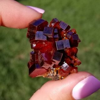 Lustrous Large Fire Red Vanadinite Crystals On Matrix From Morocco Wow (: