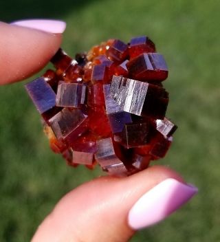 Lustrous Large Fire Red Vanadinite Crystals On Matrix From Morocco WOW (: 2