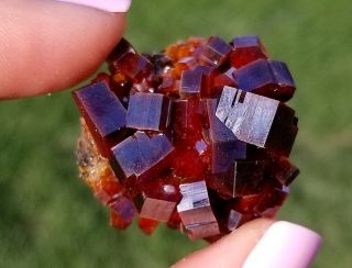 Lustrous Large Fire Red Vanadinite Crystals On Matrix From Morocco WOW (: 3
