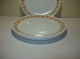 Set Of 5 Vtg Corelle Corning Pyrex Butterfly Gold Dinner Plates 10 1/4 "