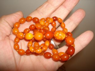 VINTAGE COLLECTIBLE EGGS BEADED NATURAL AMBER EGG YOLK BUTTERSCOTCH NECKLACE 2
