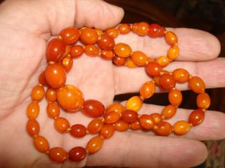 VINTAGE COLLECTIBLE EGGS BEADED NATURAL AMBER EGG YOLK BUTTERSCOTCH NECKLACE 3
