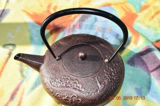 Japanese Cast Iron Copper Dragon Teapot Price Drop