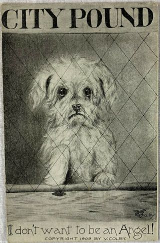 Vintage Postcard Dog Pound Puppy Help Adopt Me Dont Want To Be An Angel Tears