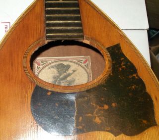 Vintage Marca Aquila Flat Back • Bent Top • Mandolin • 3