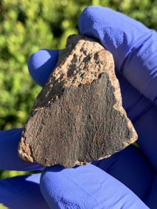 Meteorite Nwa,  Unclassified 61.  90 Grams,  Flow Lines Individual