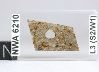 Meteorite Nwa 6210 - L3 Chondrite Big Chondrule Thin Section Microscope Slide