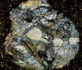 Meteorite NWA 6210 - L3 Chondrite BIG CHONDRULE Thin Section microscope slide 3