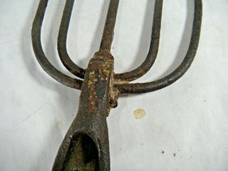 Antique 5 - Tine Fish eel frog Gig Tool Spear Head Iron Fishing Tool Fork 2