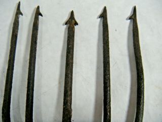 Antique 5 - Tine Fish eel frog Gig Tool Spear Head Iron Fishing Tool Fork 3