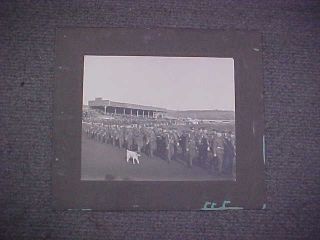 Orig Ww1 Real Photo Willows Park 88th Battalion 103rd Battalion With Dog Mascot