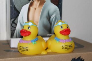 Rare Authentic Ucf Spirit Splash Rubber Duck 2018 Knights Homecoming Sga