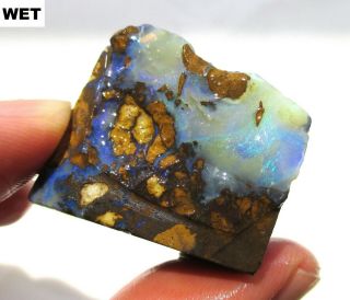 30 Gram Boulder Opal Rough - Australia Specimen