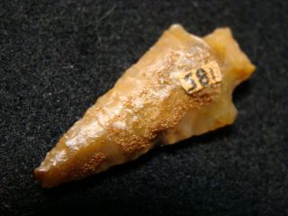 Mid Columbia Ri.  Area.  Quality Stemmed Point Chesil Tip - Chalcedony