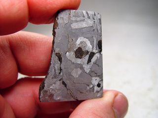 Sensational Seymchan Iron Meteorite W/ Olivine Crystals 35.  4 Gms