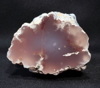 Pink Agate (Chalcedony) Wood from Texas Springs,  Nevada 176 grams Miocene 2