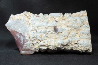 Pink Agate (Chalcedony) Wood from Texas Springs,  Nevada 176 grams Miocene 3