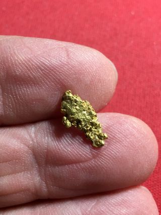 Natural Gold Nugget Specimen Bullion Placer So.  Oregon Rogue River 1.  23 Grams J2