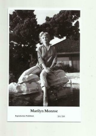 N505) Marilyn Monroe Swiftsure (201/209) Photo Postcard Film Star Pin Up