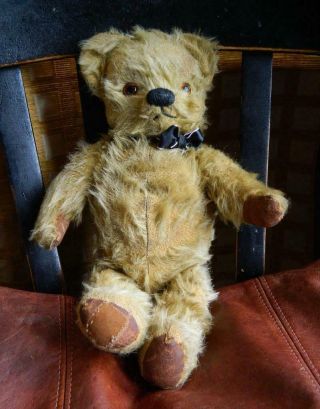 Chad Valley Vintage 1950 Side Label 14 " Jointed Mohair Teddy Bear Glass Eyes