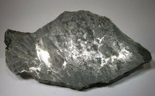 Rich Silver Slab: Penn Canadian Mine,  Cobalt Area,  Ontario,  Canada - Nr