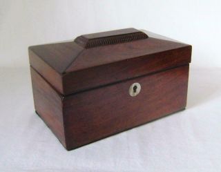 Antique Rosewood Tea Caddy Box : Coffin Shape With Pearl Escutcheon C.  1830 A/f