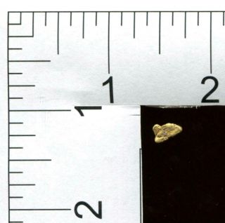 1 Gold Nugget | 0.  96 Grams | | 0.  96 Grams | From Alaska (ss8462)