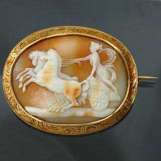 Antique French 18K Yellow Gold Hand Carved Shell Cameo Brooch Eagle Hallmark 2