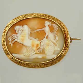 Antique French 18K Yellow Gold Hand Carved Shell Cameo Brooch Eagle Hallmark 3