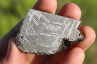 Muonionalusta Meteorite Etched Part Slice 46.  4 Grams
